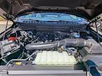 New 2025 Ford F-150 Tremor SuperCrew Cab 4WD Pickup for sale #T70715 - photo 10