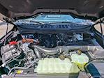2025 Ford F-150 SuperCrew Cab 4x4 Pickup for sale #T75125 - photo 10