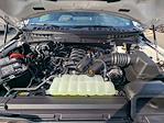 2025 Ford F-150 SuperCrew Cab 4x4 Pickup for sale #T81635 - photo 10