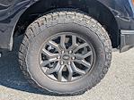 New 2025 Ford F-150 Tremor SuperCrew Cab 4WD Pickup for sale #T82944 - photo 12