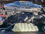 New 2025 Ford F-150 XLT SuperCrew Cab for sale #T91587 - photo 10
