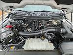 2024 Ford F-150 SuperCrew Cab 4WD Pickup for sale #T99549A - photo 10