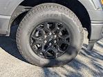 2025 Ford F-150 SuperCrew Cab 4WD Pickup for sale #T99807 - photo 11