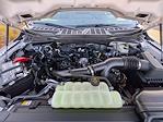 2026 Ford F-150 SuperCrew Cab 4WD Pickup for sale #TA06574 - photo 10