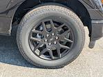 2025 Ford F-150 SuperCrew Cab 4x4 Pickup for sale #TA15725 - photo 12