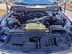 2025 Ford F-150 SuperCrew Cab 4WD Pickup for sale #TA42528 - photo 14