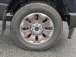 New 2025 Ford F-350 King Ranch Crew Cab 4x4 SRW Pickup for sale #TA98151 - photo 13