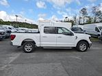 2024 Ford F-150 SuperCrew Cab RWD Pickup for sale #00T48459 - photo 3