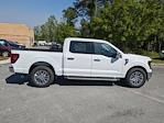 2025 Ford F-150 SuperCrew Cab RWD Pickup for sale #00T58989 - photo 3
