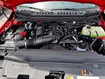 2023 Ford F-250 Regular Cab 4x2 Pickup for sale #T30382 - photo 28
