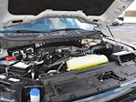 2024 Ford F-150 SuperCrew Cab 4x4 Pickup for sale #T40224 - photo 12
