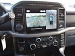 2024 Ford F-150 SuperCrew Cab 4x4 Pickup for sale #T40224 - photo 19