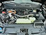 2024 Ford F-150 SuperCrew Cab 4x4 Pickup for sale #T40372 - photo 38