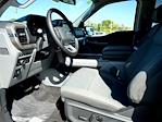 2024 Ford F-150 SuperCrew Cab 4x4 Pickup for sale #T40470 - photo 13