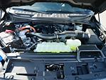 2024 Ford F-150 SuperCrew Cab 4x4 Pickup for sale #T40523 - photo 41