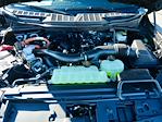 2024 Ford F-150 SuperCrew Cab 4x4 Pickup for sale #T40525 - photo 40