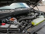 New 2025 Ford F-150 XLT SuperCrew Cab 4x4 Pickup for sale #T50074 - photo 9