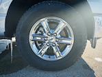 2025 Ford F-150 SuperCrew Cab 4x4 Pickup for sale #T50085 - photo 31