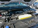 2025 Ford F-150 SuperCrew Cab 4WD Pickup for sale #T50085 - photo 11