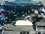 2025 Ford F-150 SuperCrew Cab 4x4 Pickup for sale #T50120 - photo 32