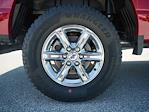 2025 Ford F-150 SuperCrew Cab 4x4 Pickup for sale #T50155 - photo 31