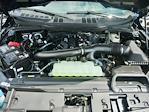 2025 Ford F-150 SuperCrew Cab 4x4 Pickup for sale #T50156 - photo 33