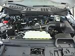 2025 Ford F-150 Super Cab 4x4 Pickup for sale #T50164 - photo 30