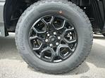 2025 Ford F-150 SuperCrew Cab 4x4 Pickup for sale #T50196 - photo 36