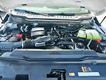 New 2025 Ford F-350 XL Regular Cab 4x4 SRW Pickup for sale #T50243 - photo 27