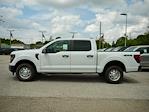 2025 Ford F-150 SuperCrew Cab 4x4 Pickup for sale #T50332 - photo 4