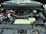 2025 Ford F-150 SuperCrew Cab 4x4 Pickup for sale #T50345 - photo 42