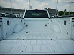 2025 Ford F-350 Regular Cab SRW 4WD Pickup for sale #T50397 - photo 6