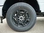 2025 Ford F-350 Regular Cab SRW 4WD Pickup for sale #T50398 - photo 25