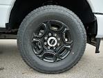 2025 Ford F-350 Regular Cab SRW 4WD Pickup for sale #T50398 - photo 28