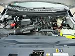 2025 Ford F-350 Regular Cab SRW 4WD Pickup for sale #T50398 - photo 29
