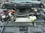 2023 Ford F-150 SuperCrew Cab 4x4 Pickup for sale #Z6044 - photo 42