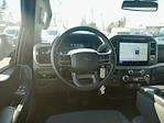2024 Ford F-150 SuperCrew Cab 4x4 Pickup for sale #Z6054 - photo 15