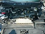 2023 Ford F-150 SuperCrew Cab 4x4 Pickup for sale #Z6168 - photo 38