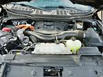 2023 Ford F-150 SuperCrew Cab 4WD Pickup for sale #Z6342 - photo 38