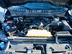 Used 2024 Ford F-150 XLT SuperCrew Cab for sale #Z6358 - photo 34