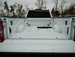 2023 Ford F-350 Crew Cab DRW 4WD Pickup for sale #Z6404 - photo 6