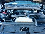 2024 Ford F-150 SuperCrew Cab 4x4 Pickup for sale #Z6405 - photo 35
