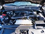 2024 Ford F-150 SuperCrew Cab 4WD Pickup for sale #Z6443 - photo 34