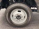 2025 Ford F-350 Regular Cab DRW 4WD Pickup for sale #ED96334A - photo 10