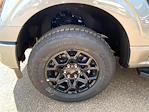 New 2025 Ford F-150 XLT SuperCrew Cab for sale #F1510 - photo 8