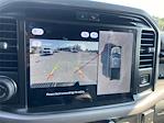 New 2025 Ford F-150 XLT SuperCrew Cab for sale #F1515 - photo 19