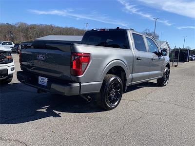 New 2025 Ford F-150 - photo 1