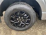 2025 Ford F-150 SuperCrew Cab RWD Pickup for sale #F1548 - photo 7