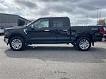 New 2026 Ford F-150 XLT SuperCrew Cab for sale #FA22207 - photo 5