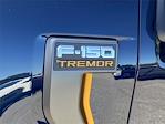 New 2025 Ford F-150 Tremor SuperCrew Cab 4WD Pickup for sale #FB80230 - photo 8